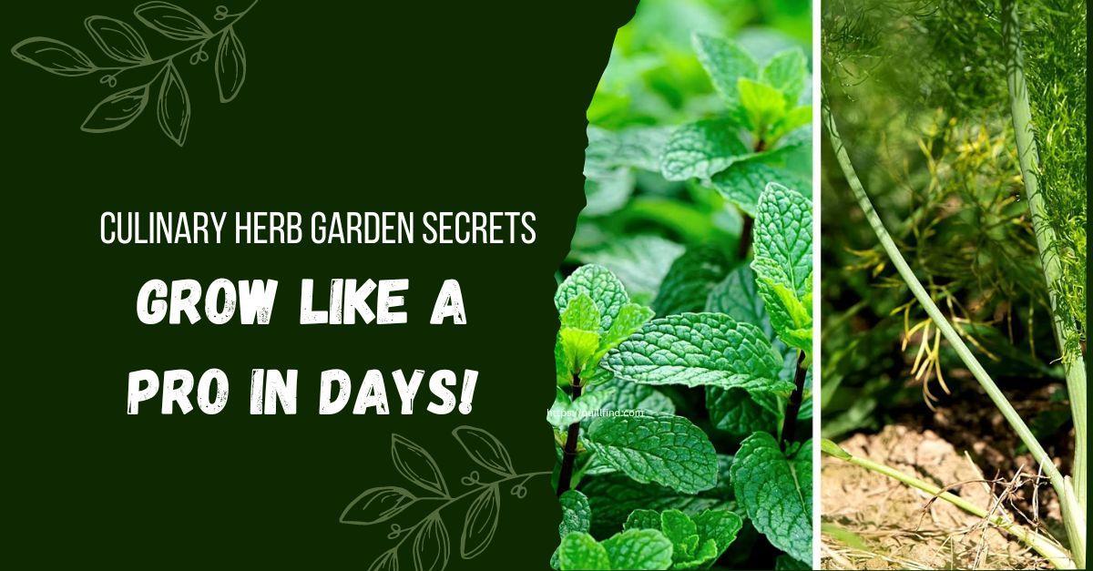 Culinary Herb Garden Secrets: Grow Like a Pro in Days!